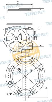 法蘭式電動軟密封蝶閥結(jié)構(gòu)圖