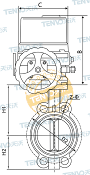 對夾式電動軟密封蝶閥結(jié)構(gòu)圖