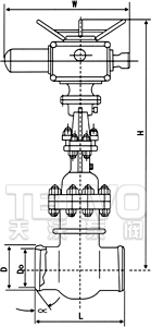 電動(dòng)對焊式真空隔離閘閥結(jié)構(gòu)圖